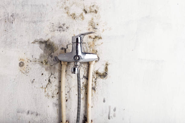 Best Mold Testing  in Ballwin, MO