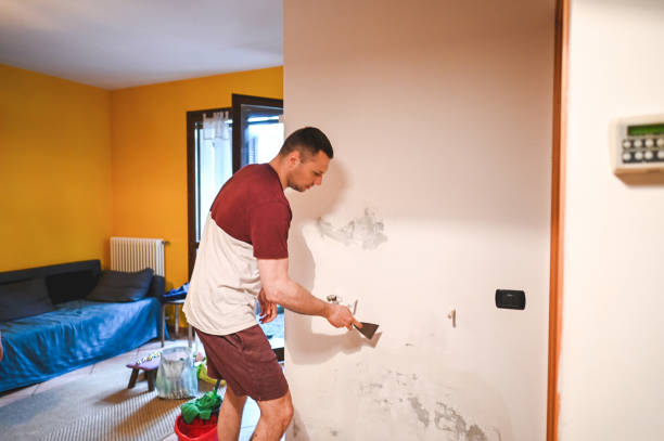 Best Mold Damage Repair  in Ballwin, MO