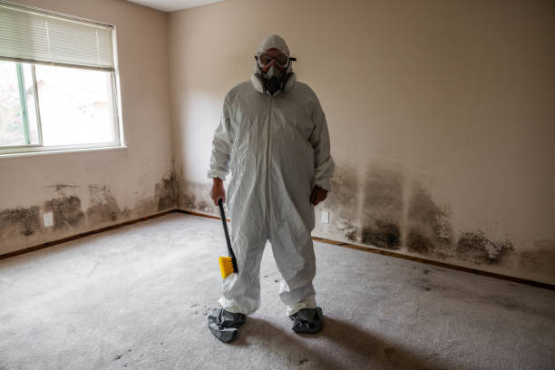 Best Professional Mold Removal  in Ballwin, MO